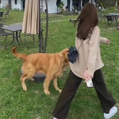 豹人