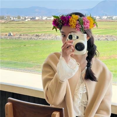 少女情怀尽是诗